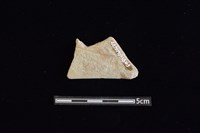 石鋸藏品圖，第2張