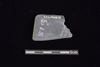 矛鏃形器藏品圖，第1張