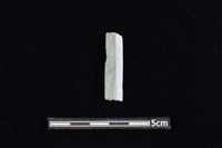 矛鏃形器藏品圖，第1張