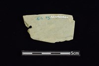 矛鏃形器藏品圖，第2張