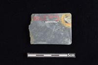 石器殘件藏品圖，第2張