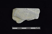 石器殘件藏品圖，第1張