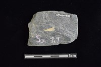 石材藏品圖，第2張