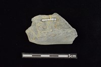 石材藏品圖，第2張