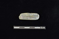 石材藏品圖，第2張