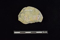 石圓片藏品圖，第2張