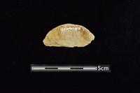 石圓片藏品圖，第2張