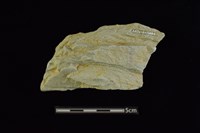 石材藏品圖，第2張