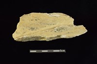 玉料藏品圖，第2張