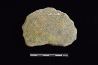 石圓片藏品圖，第2張