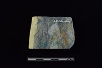 石材藏品圖，第2張