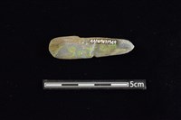 石材藏品圖，第2張