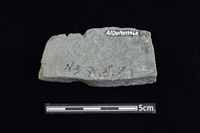 石材藏品圖，第2張