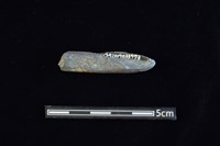 石材藏品圖，第2張