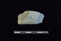 石材藏品圖，第2張