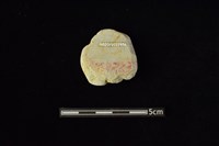 玉料藏品圖，第2張