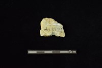 石材藏品圖，第2張