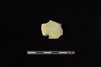 矛鏃形器藏品圖，第1張