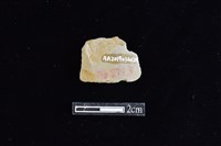 矛鏃形器藏品圖，第2張