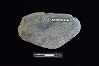 網墜藏品圖，第2張