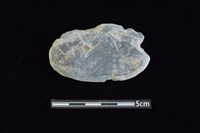 網墜藏品圖，第1張