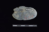 網墜藏品圖，第2張