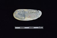 網墜藏品圖，第2張