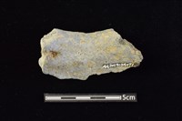 陶罐藏品圖，第2張