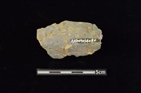 陶罐藏品圖，第2張