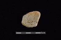 陶罐藏品圖，第2張