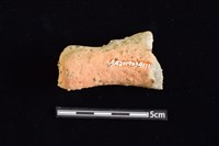 陶罐藏品圖，第2張