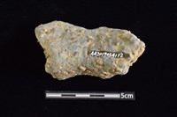 陶罐藏品圖，第2張