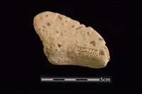 陶罐藏品圖，第2張