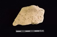 陶罐藏品圖，第1張