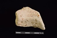 陶罐藏品圖，第2張