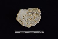 陶罐藏品圖，第2張