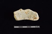 陶罐藏品圖，第2張