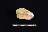 陶罐藏品圖，第2張