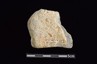 陶罐藏品圖，第2張