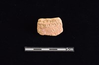 陶罐藏品圖，第1張