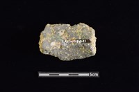 陶罐藏品圖，第2張