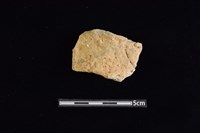 陶罐藏品圖，第1張