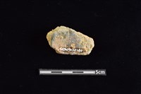 陶罐藏品圖，第2張