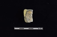 陶罐藏品圖，第1張