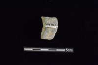 陶罐藏品圖，第2張