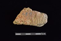 陶片藏品圖，第1張