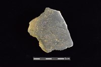 陶片藏品圖，第1張