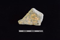 陶片藏品圖，第2張