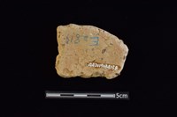 陶片藏品圖，第2張