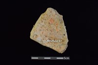 陶片藏品圖，第2張